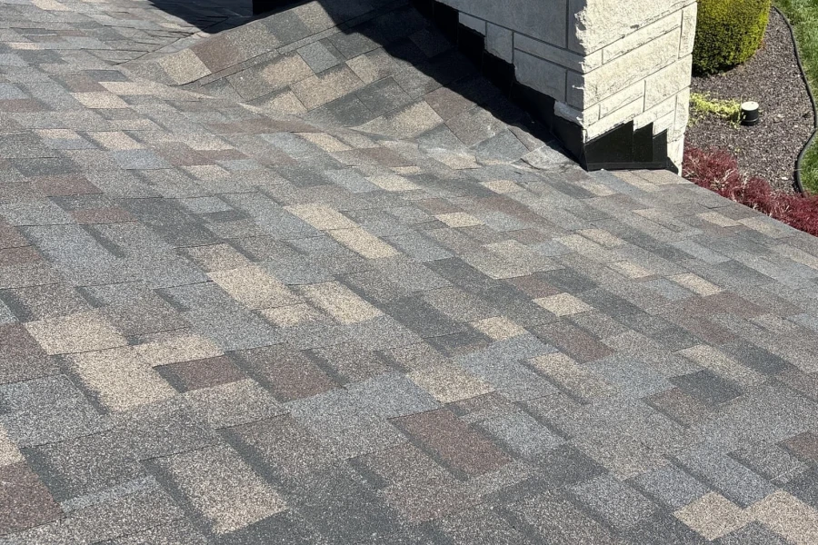 Asphalt Shingle Service